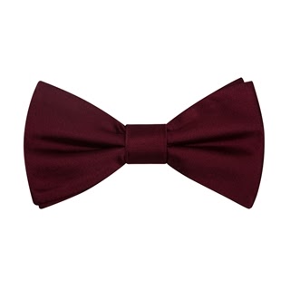 BURGUNDY BLOW TIE